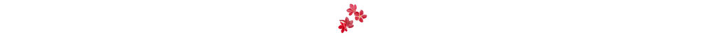 Red flower petals floating on a white background.