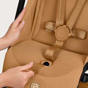 CYBEX Gold Libelle - Pás na jedno zatiahnutie