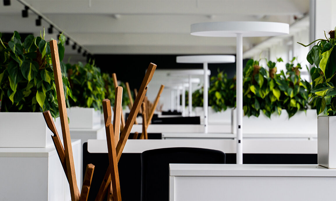 A modern office with white desks, green plants, and stylish wooden decorations.