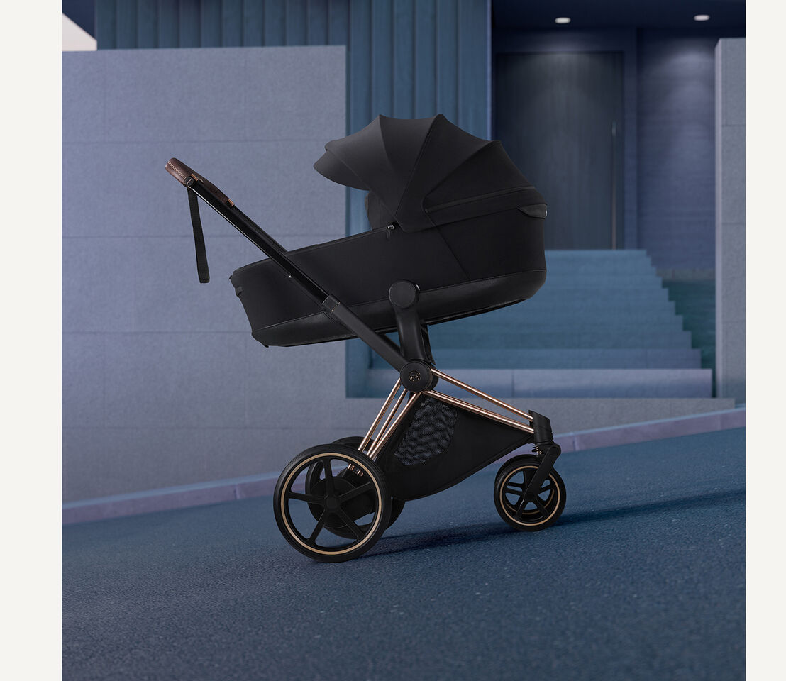 An e-Priam standing still on an incline.