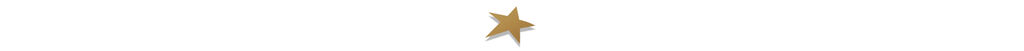 A gold star on a white background.