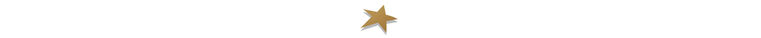 A gold star on a white background.