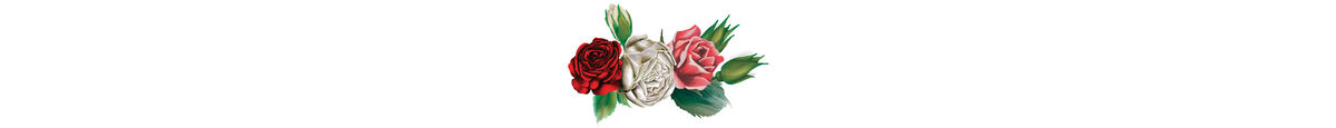 Red, white, and pink roses with green leaves on a white background.
