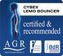 Lemo Bouncer Award