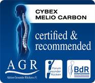 Melio Carbon Award