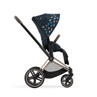 CYBEX Platinum Jewels of Nature Collection Priam Seat Pack shown on Priam Frame
