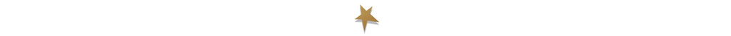 A gold star on a white background.