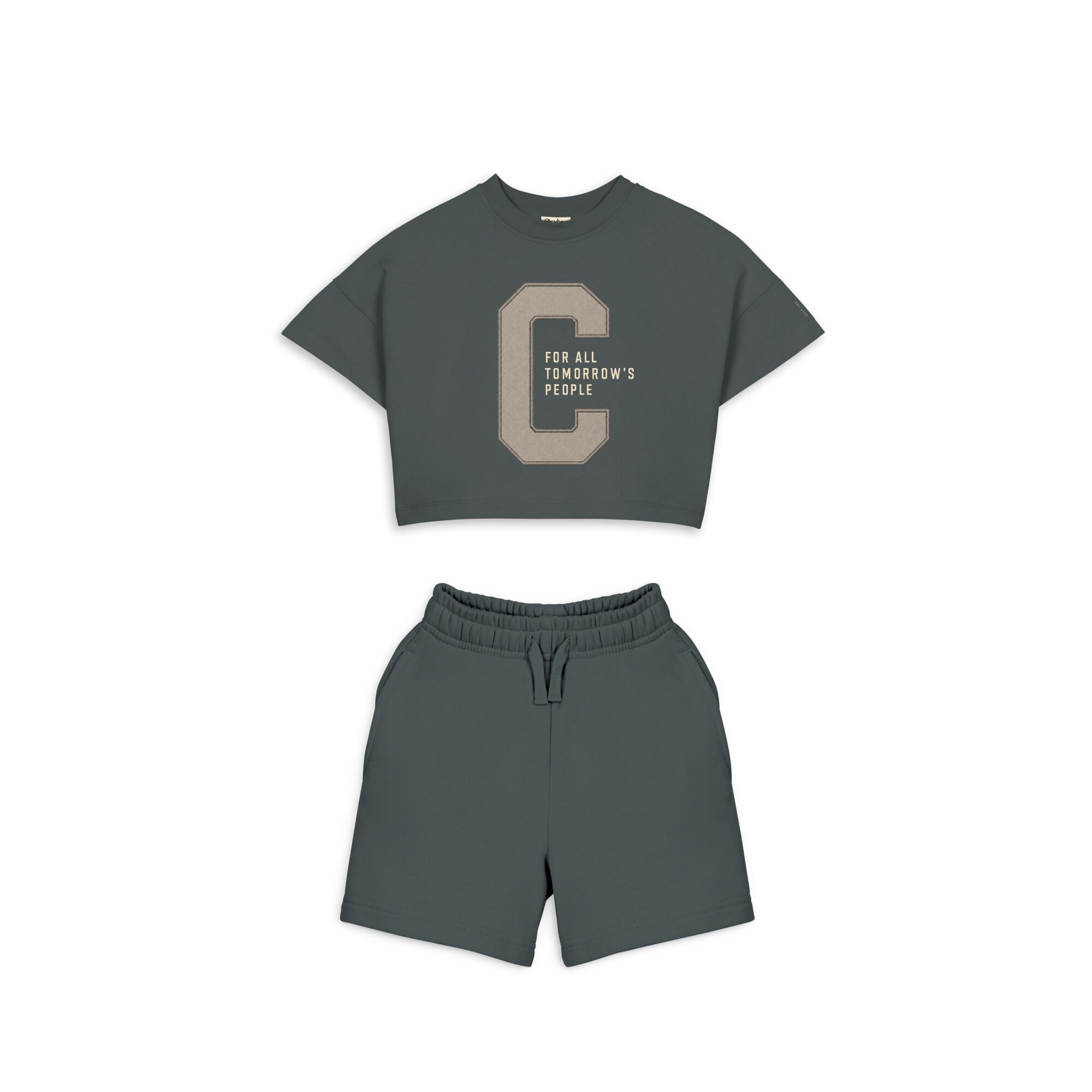 CYBEX Short Sleeve T-Shirt Culture - Slate Patch in Slate Patch large-cybex-us image number 4