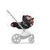 CYBEX Cloud Q SensorSafe - Spring Blossom Dark in Spring Blossom Dark large-cybex-us image number 4 Small