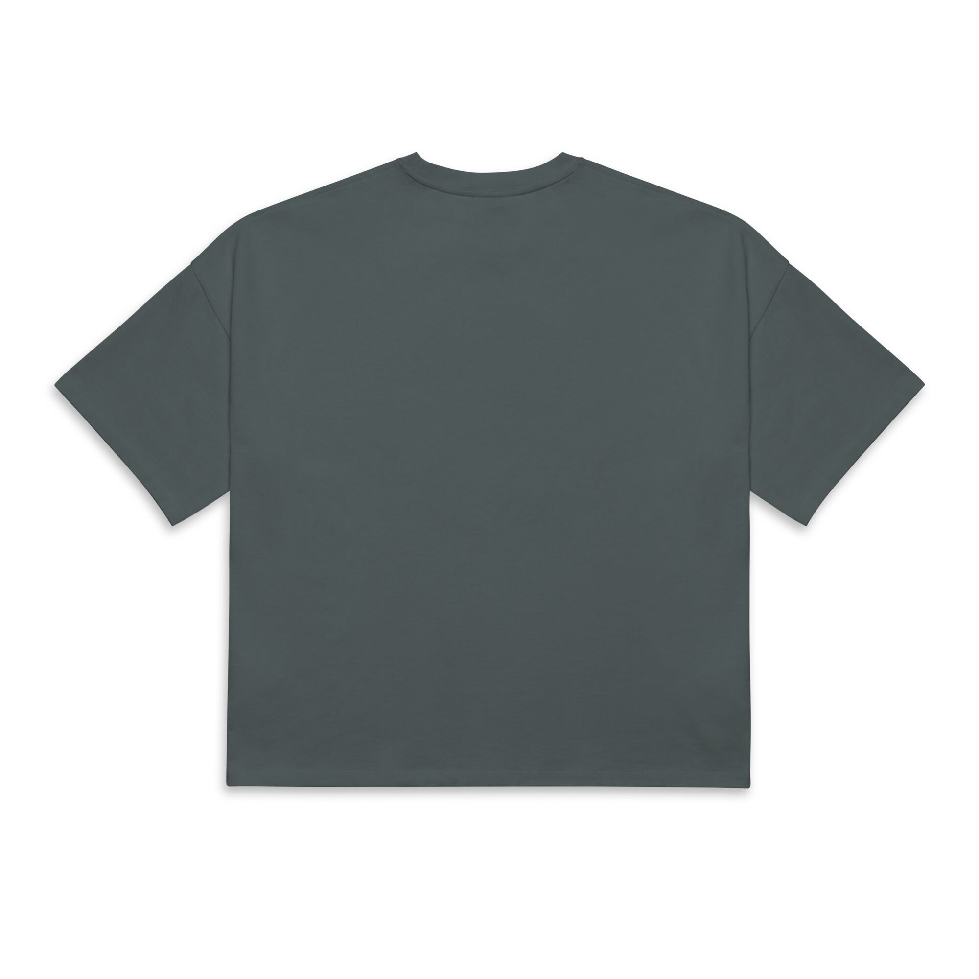 Short Sleeve T-Shirt Culture Adults - Slate Circle - Image 6
