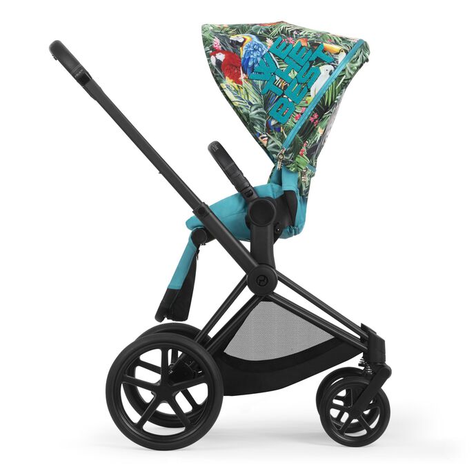 Best top cybex stroller