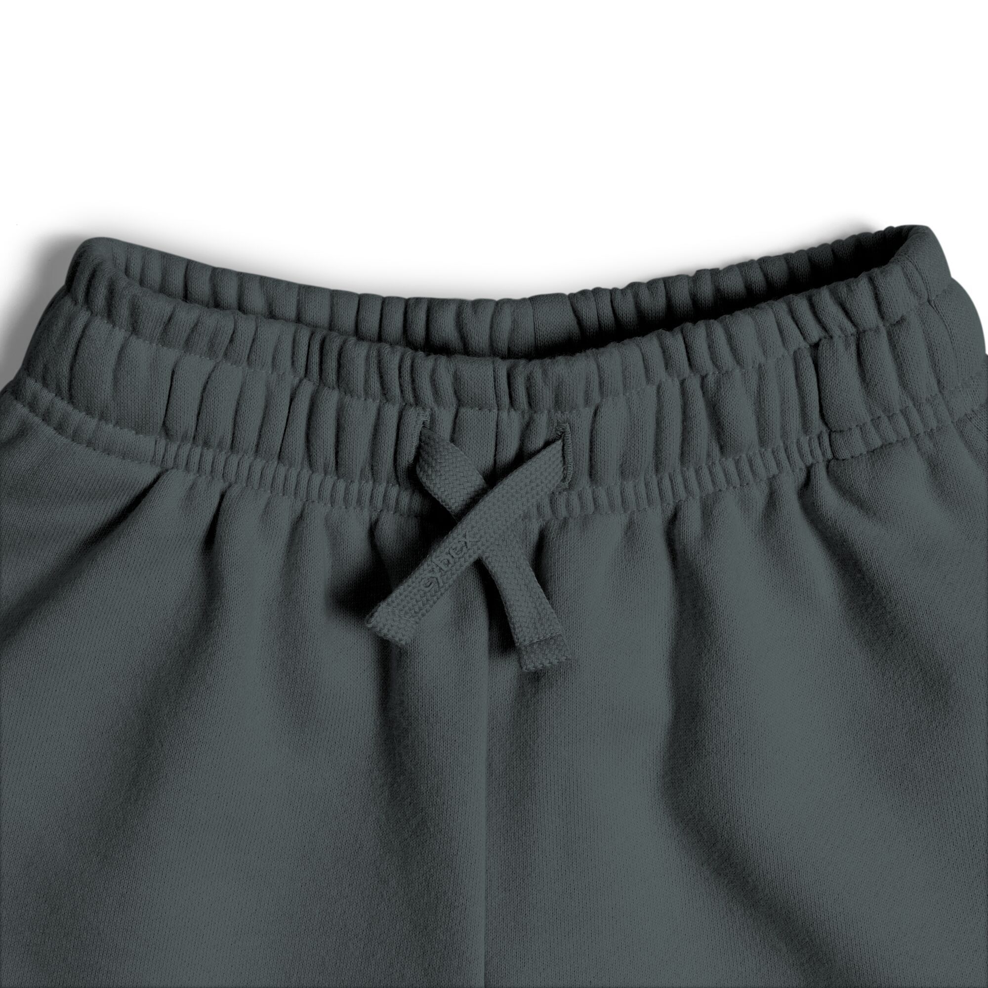 CYBEX Sweatshorts - Slate in Slate large-cybex-neu image number 3