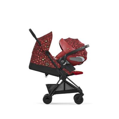 Coya – Rockstar - Image 6
