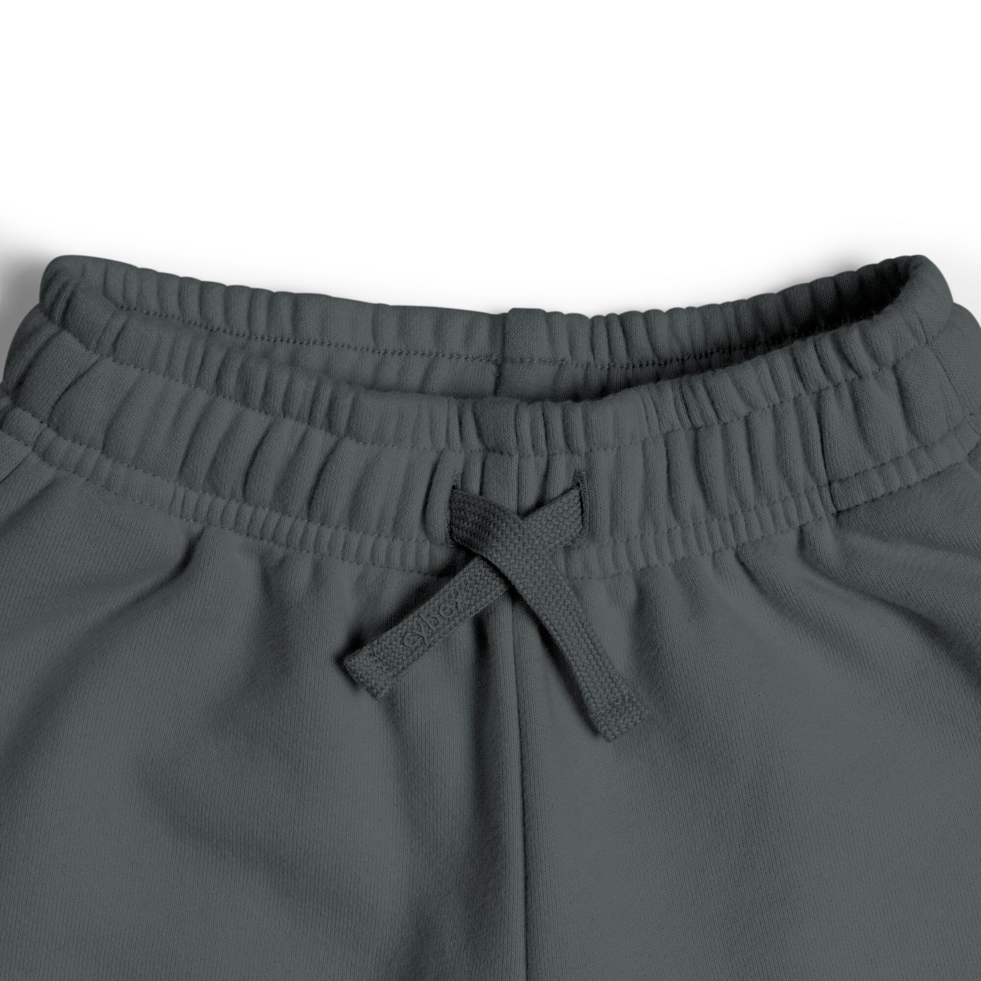 CYBEX Sweatpants - Slate in Slate large-cybex-row image number 3