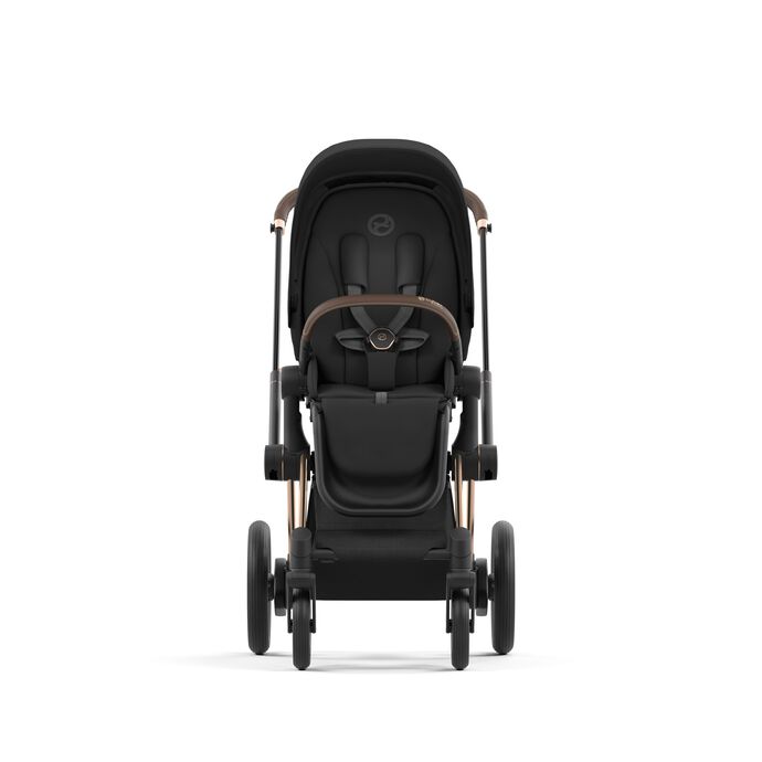 E 2024 priam cybex