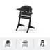 CYBEX Lemo Platinum 3-in-1 - Black Wood in Black Wood large-cybex-jp 画像番号 1 スモール