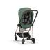 CYBEX Mios Seat Pack - Leaf Green in Leaf Green large-cybex-neu Bild 7 Klein