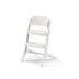 CYBEX Lemo Platinum 3-in-1 - White Wood in White Wood large-cybex-neu Bild 5 Klein