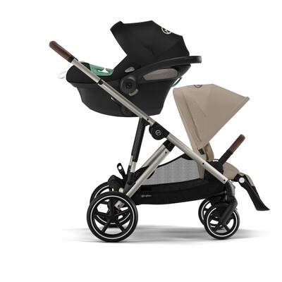 Gazelle S - Image 3