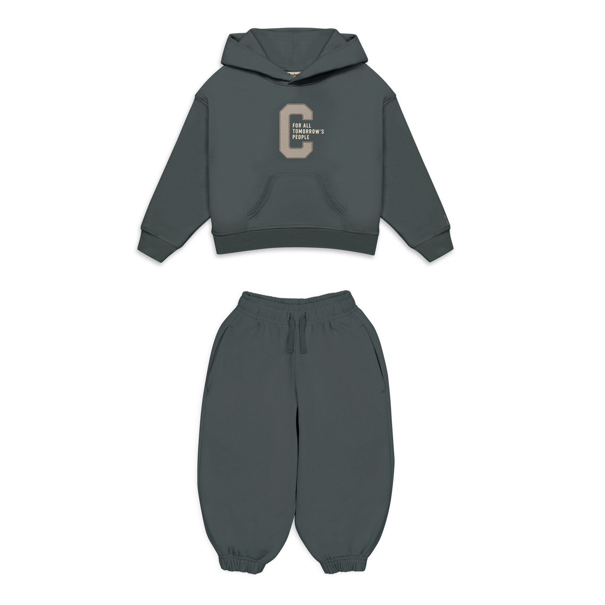 CYBEX Hoodie Culture - Slate Patch in Slate Patch large-cybex-row image number 4