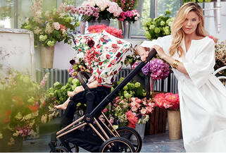 Alle CYBEX Spring Blossom