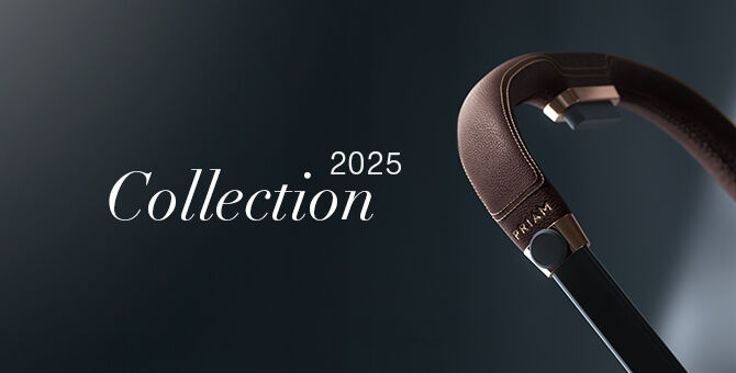 Save Now on Platinum Strollers