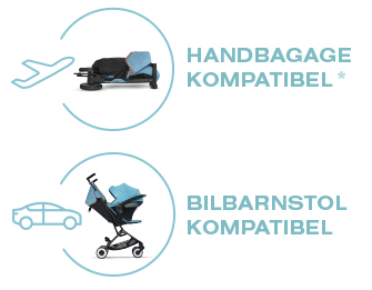 Hand Luggage Compliant and Car Seat Compatible Icon